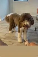 processed/efe01cf8-0ba3-4b10-8ae2-8be7b4dc3b4e/facility/bfa2999f-77e9-42fa-846e-c17fff6358c7