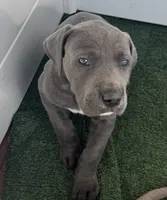 processed/efe01cf8-0ba3-4b10-8ae2-8be7b4dc3b4e/listing/00a4425f-1090-4842-9bcd-fb0e7ac58c2e/7471b2e2-1144-4bf9-8de7-55c28e45cb66