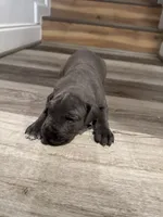 processed/efe01cf8-0ba3-4b10-8ae2-8be7b4dc3b4e/listing/3407b377-da3d-4db6-b4c0-17ee2bebc6c3/0b90dff9-38ce-441f-a834-3da1f6e5acd2