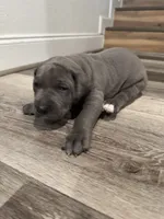 processed/efe01cf8-0ba3-4b10-8ae2-8be7b4dc3b4e/listing/3407b377-da3d-4db6-b4c0-17ee2bebc6c3/f9fbb91b-8da5-44af-a264-4d289619b708