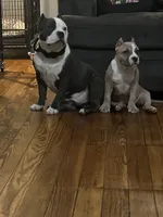 processed/efe23d84-149d-46ff-8966-b4680fba003a/facility/0f93649c-129a-4416-946c-865cb0ead877