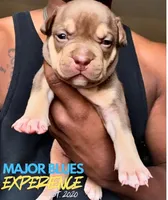 processed/efe23d84-149d-46ff-8966-b4680fba003a/facility/9ca96751-255b-4b2a-ae09-2dea6e505696