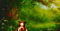 Sally O'Malley, a female Boston Terrier for sale in Arlington, WA – 1 of 4