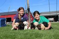 processed/eff483fa-b24c-4031-b484-0b228b11dffb/facility/25177dbd-72c3-4d87-ba06-310822dd60fc