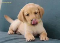 processed/eff483fa-b24c-4031-b484-0b228b11dffb/facility/53df3855-dd46-4a64-b335-be475564abde