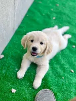 processed/eff483fa-b24c-4031-b484-0b228b11dffb/facility/8cf351e7-6c48-4776-b638-852ed6daaf31