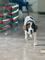 processed/eff483fa-b24c-4031-b484-0b228b11dffb/listing/23ee8509-0cf5-4ccf-83eb-76d193a53b13/00a99130-9022-4513-a5f3-81bcbf0952a1