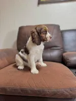 processed/eff483fa-b24c-4031-b484-0b228b11dffb/listing/3ea217ad-2cc6-4e45-b1ef-9955ca1772b2/23e244c3-82f9-40b8-ab87-8527e902815a