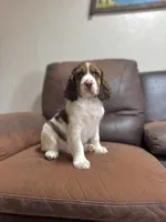 processed/eff483fa-b24c-4031-b484-0b228b11dffb/listing/3ea217ad-2cc6-4e45-b1ef-9955ca1772b2/8df3f733-3be5-4e88-95ec-f56ae3c9f5cd