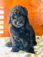 processed/effdfd37-f766-4692-a92b-8b56e2c5d9e9/listing/cc87dde0-9f24-4a52-981a-6966b899e341/1c359b19-36a3-4a9c-b4d8-75a64ecf11a4