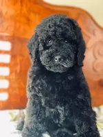 processed/effdfd37-f766-4692-a92b-8b56e2c5d9e9/listing/cc87dde0-9f24-4a52-981a-6966b899e341/37130095-0a2a-46bb-bd88-3ccf50214622