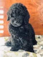 processed/effdfd37-f766-4692-a92b-8b56e2c5d9e9/listing/cc87dde0-9f24-4a52-981a-6966b899e341/8c0ebadf-98de-4824-a280-59ad9f2c5177