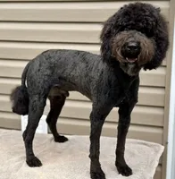 processed/effdfd37-f766-4692-a92b-8b56e2c5d9e9/listing/cc87dde0-9f24-4a52-981a-6966b899e341/9fd3dfe6-d15e-4d0d-a505-aea3ff86df19