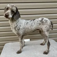 processed/effdfd37-f766-4692-a92b-8b56e2c5d9e9/listing/fd6a30ba-0bcf-442c-8dec-036822e9ba19/5cb5d49c-4c72-4b2c-85b5-52650e3931b9