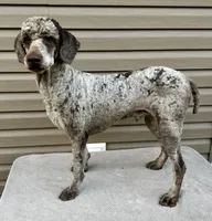 processed/effdfd37-f766-4692-a92b-8b56e2c5d9e9/listing/fd6a30ba-0bcf-442c-8dec-036822e9ba19/872847b4-ee8f-4ad5-bee4-63ed004754ca