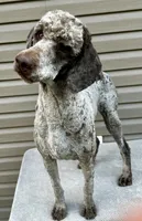 processed/effdfd37-f766-4692-a92b-8b56e2c5d9e9/listing/fd6a30ba-0bcf-442c-8dec-036822e9ba19/abe674b5-d482-4442-8f9a-a29ec01ba185