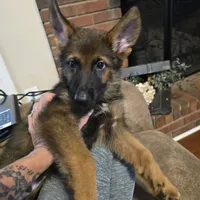 processed/f0004fd8-378b-475c-a59b-7782dc4b0b83/facility/1b922e20-4ad8-4e92-85f7-7fedb27d7b64