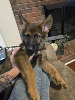 processed/f0004fd8-378b-475c-a59b-7782dc4b0b83/facility/1b922e20-4ad8-4e92-85f7-7fedb27d7b64