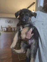 processed/f0004fd8-378b-475c-a59b-7782dc4b0b83/facility/3a6b653b-e238-48a9-92f4-e58d5e3ba10c