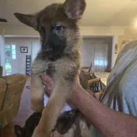 processed/f0004fd8-378b-475c-a59b-7782dc4b0b83/facility/4f64f380-fcba-4650-ae07-4beee54efe42