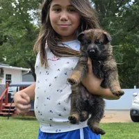 processed/f0004fd8-378b-475c-a59b-7782dc4b0b83/facility/51d7718d-3ffd-4479-a807-32ee5cbcfebd