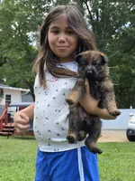 processed/f0004fd8-378b-475c-a59b-7782dc4b0b83/facility/51d7718d-3ffd-4479-a807-32ee5cbcfebd