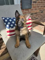 processed/f0004fd8-378b-475c-a59b-7782dc4b0b83/facility/db8485be-1281-4e19-a39c-1bc9d866c4e0