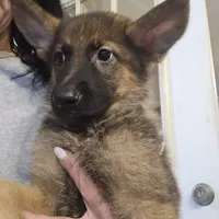 processed/f0004fd8-378b-475c-a59b-7782dc4b0b83/facility/f01ee27f-92dc-4c87-a94c-36c838bb4da3