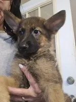 processed/f0004fd8-378b-475c-a59b-7782dc4b0b83/facility/f01ee27f-92dc-4c87-a94c-36c838bb4da3