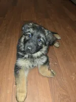 processed/f0004fd8-378b-475c-a59b-7782dc4b0b83/facility/f6a99be2-9b8b-4dd9-a187-5464676d8b64