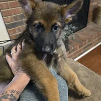 processed/f0004fd8-378b-475c-a59b-7782dc4b0b83/facility/fb3735e5-cbb0-4994-94d7-2ccb1f189aab