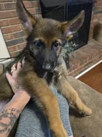 processed/f0004fd8-378b-475c-a59b-7782dc4b0b83/facility/fb3735e5-cbb0-4994-94d7-2ccb1f189aab