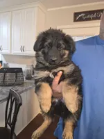 processed/f0004fd8-378b-475c-a59b-7782dc4b0b83/facility/fd5f875c-f704-4033-aca4-0d0e985ea11b