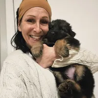 Storm, a female German Shepherd Dog for sale in Forest City, NC – Photo 5 of 9