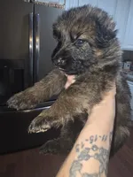 processed/f0004fd8-378b-475c-a59b-7782dc4b0b83/listing/8ef773ca-d209-49d9-8e0e-66200bde621e/21f25f9c-7468-4da6-b6ca-8de5a9fde34d