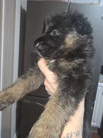 processed/f0004fd8-378b-475c-a59b-7782dc4b0b83/listing/8ef773ca-d209-49d9-8e0e-66200bde621e/30edec66-8010-453c-aff9-8fad9108f3c3