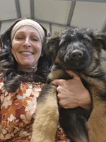 Mia, a female German Shepherd Dog for sale in Forest City, NC – Photo 6 of 10