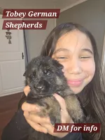 processed/f0004fd8-378b-475c-a59b-7782dc4b0b83/listing/8ef773ca-d209-49d9-8e0e-66200bde621e/6d2581ae-d0fc-4c18-a4c6-249b71fe4bfb