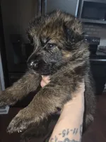 processed/f0004fd8-378b-475c-a59b-7782dc4b0b83/listing/8ef773ca-d209-49d9-8e0e-66200bde621e/975d644d-8526-4581-a6ab-f4859045dded