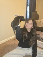 processed/f0004fd8-378b-475c-a59b-7782dc4b0b83/listing/8ef773ca-d209-49d9-8e0e-66200bde621e/fe112c96-920e-416b-9a68-81d9cc7806fe