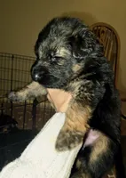 processed/f0004fd8-378b-475c-a59b-7782dc4b0b83/listing/ae0687d0-6448-451e-a65f-7ddbb7115de7/31bcf672-22c4-42e8-a108-2e5762fc0e80