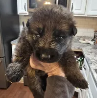 processed/f0004fd8-378b-475c-a59b-7782dc4b0b83/listing/ae0687d0-6448-451e-a65f-7ddbb7115de7/8baef4b3-ba25-4d95-9945-7465013595a1