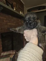 processed/f0004fd8-378b-475c-a59b-7782dc4b0b83/listing/ae0687d0-6448-451e-a65f-7ddbb7115de7/c5e6fbf5-16cd-429a-8dc1-378dddeb7210