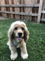 processed/f002dfd0-ef44-449f-a15e-5ed3e5e0c1dc/facility/cff6e4d6-d364-4663-8ac0-0d2a53c8b520