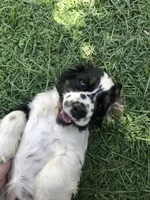 processed/f002dfd0-ef44-449f-a15e-5ed3e5e0c1dc/facility/d47b36bf-3008-41bd-8bc8-174da77a5d32