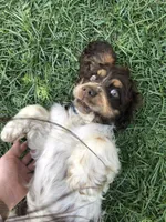 processed/f002dfd0-ef44-449f-a15e-5ed3e5e0c1dc/facility/d5d58239-3b29-4e3e-8759-e39cc95fd11a