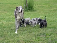 processed/f008df3a-1068-4ac8-82b0-1b8d329cd337/facility/067f3b31-e02a-4453-ad04-783ab3af8bd8