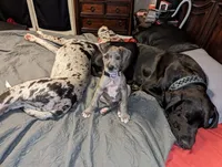 processed/f008df3a-1068-4ac8-82b0-1b8d329cd337/facility/7770c252-d89d-4c50-b608-9333758107d9