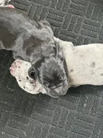 processed/f008df3a-1068-4ac8-82b0-1b8d329cd337/facility/7df8f963-7849-4d49-a934-34074b8d3336