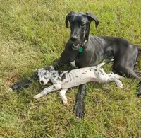 processed/f008df3a-1068-4ac8-82b0-1b8d329cd337/facility/ab7ba528-211e-4d08-b61d-aa6a80014083